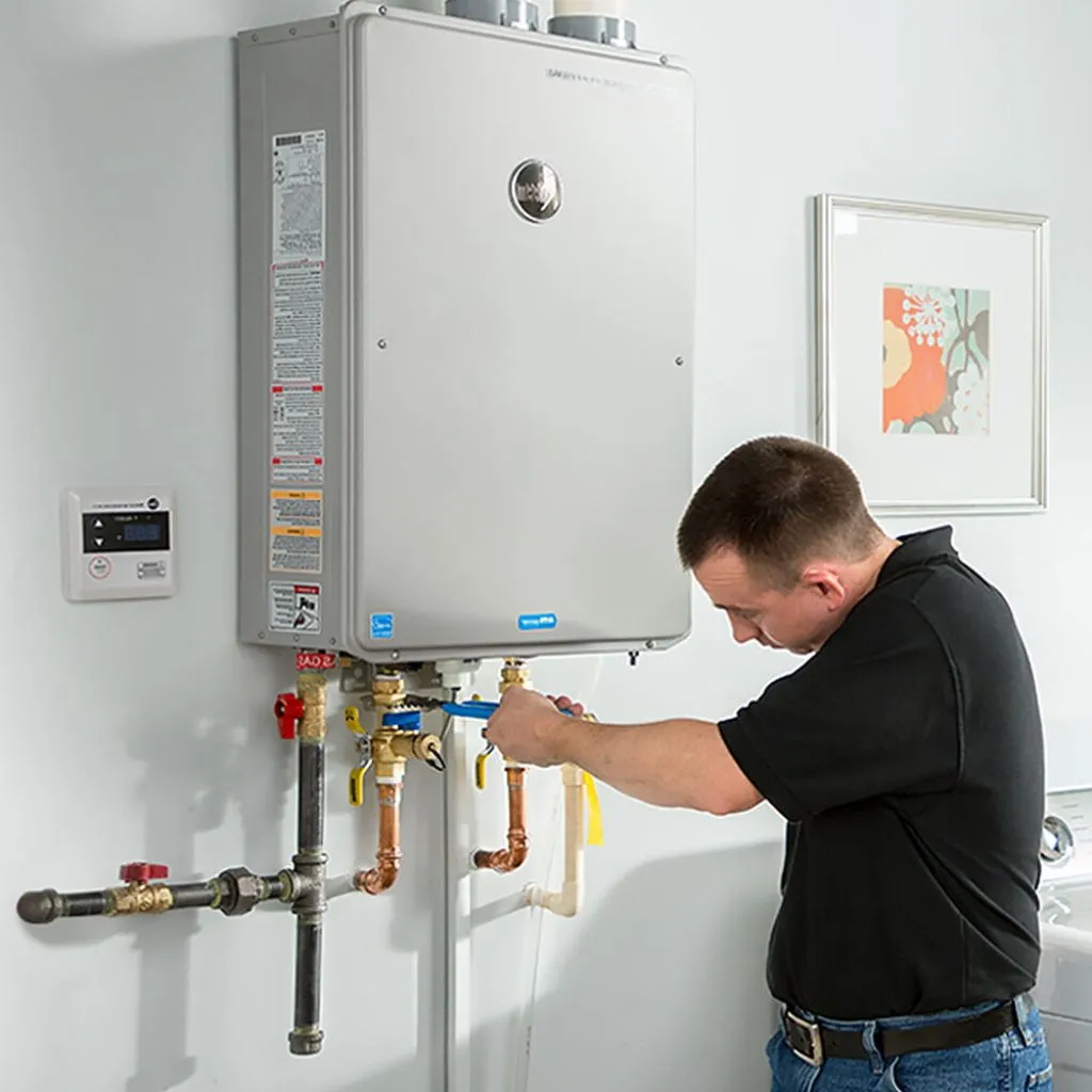 tankless water heater repair in Bird island, MN